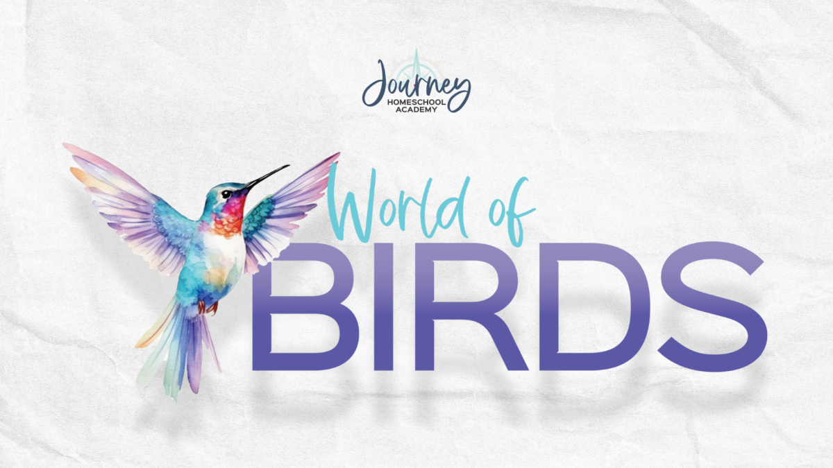 Watercolor hummingbird with “World of Birds” text, representing Journey Homeschool Academy’s upcoming bird science course.